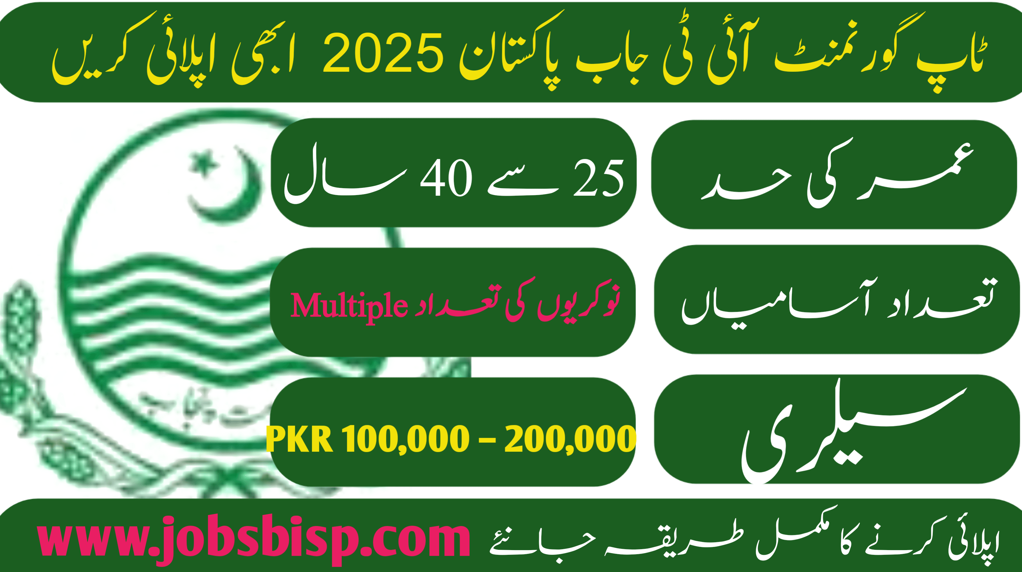 Top Govt IT Job Pakistan 2025 – Apply Now