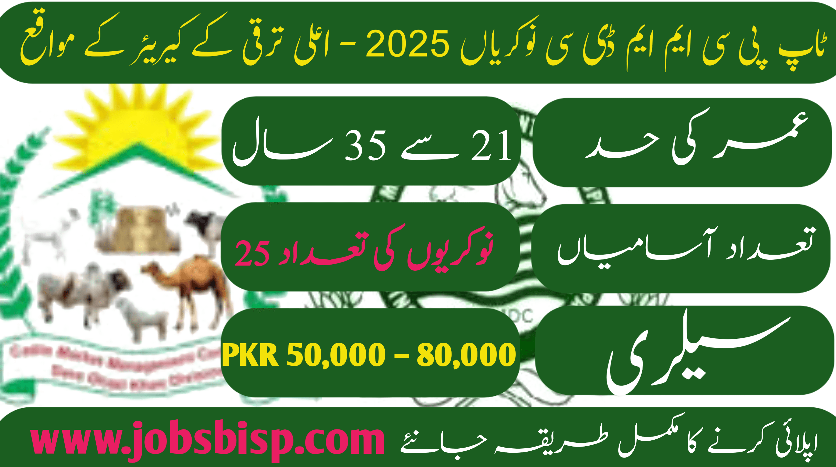 Top PCMMDC Jobs 2025 – High Growth Career Opportunities