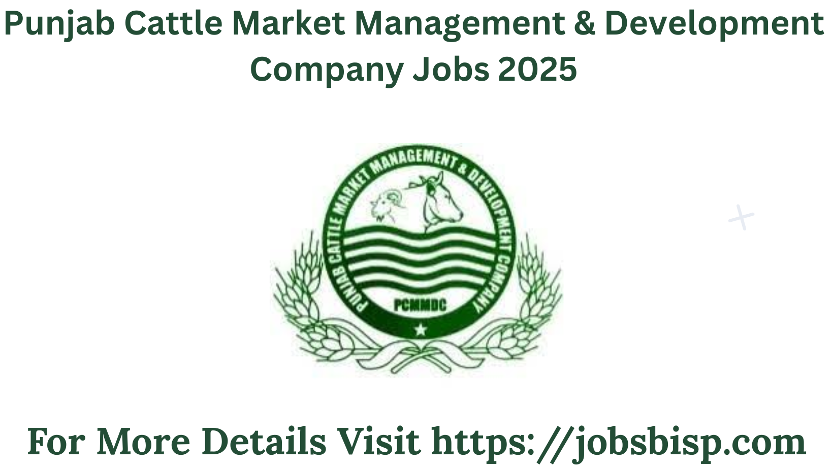 pcmmdc jobs